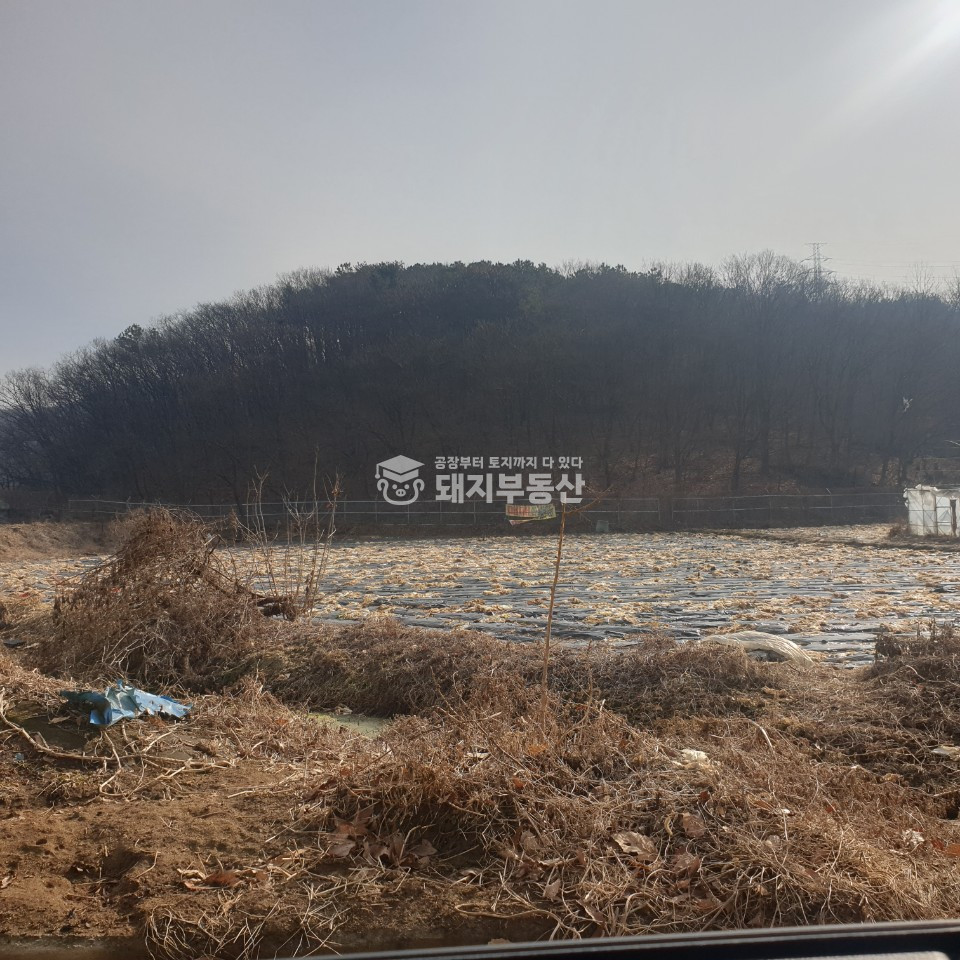 경기 파주시 조리읍 장곡리 창고부지 전원주택부지 조용한동네 매매 매물번호 10146 사진 1