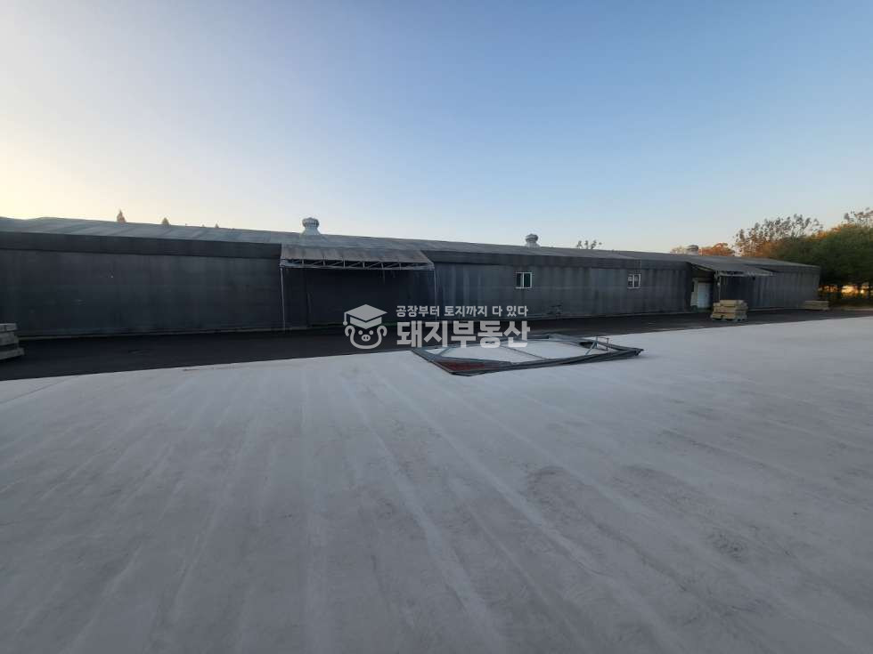경기 파주시 조리읍 등원리 넓은단독마당,대형창고,내부사무실, ic인접, 40피트회전,즉시입주가 월세 매물번호 10559 사진 15