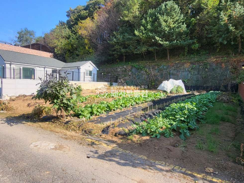 경기 고양일산동구 문봉동 완전저렴, 계획관리 대지 100p, 주택부지,사리현ic10분 매매 매물번호 10506 사진 5