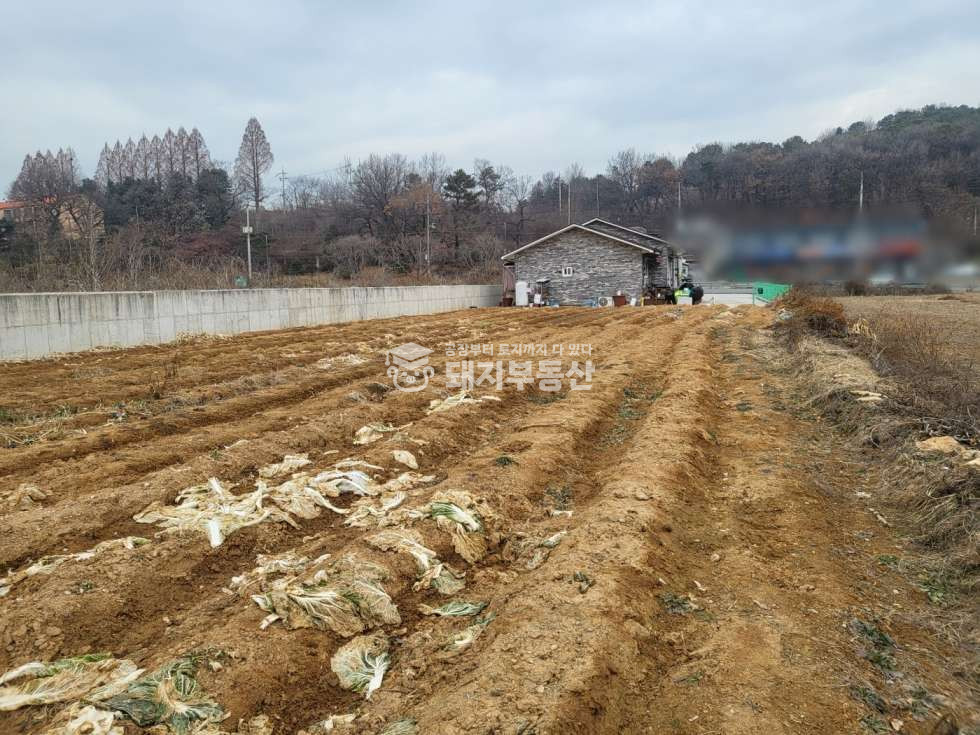 경기 파주시 조리읍 등원리 통일로4차선도로접, 위치굿,근생창고부지, 신축단독주택유,ic인접 매매 매물번호 10595 사진 7