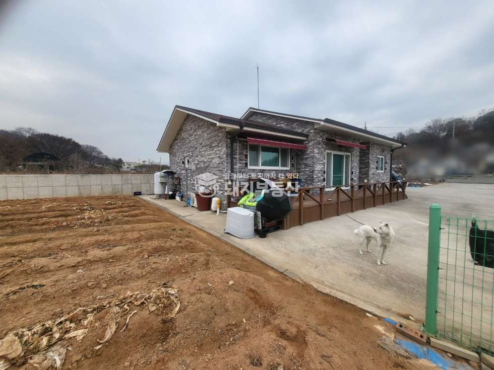 경기 파주시 조리읍 등원리 통일로4차선도로접, 위치굿,근생창고부지, 신축단독주택유,ic인접 매매 매물번호 10595 사진 9