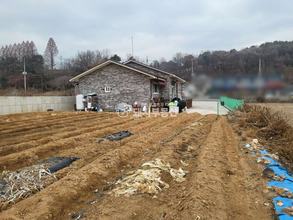 경기 파주시 조리읍 등원리 통일로4차선도로접, 위치굿,근생창고부지, 신축단독주택유,ic인접 매매 매물번호 10595 사진 10