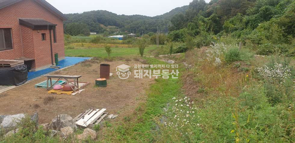 경기 파주시 파평면 금파리 산아래 조용한 단독주택과 넓은토지 매매 매물번호 10673 사진 5