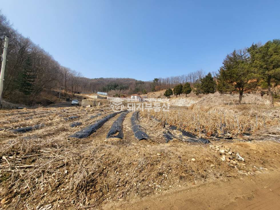경기 파주시 광탄면 기산리 계획관리 274p,카페 식당 주택부지,토목공사완, 도로인접 매매 매물번호 10699 사진 4