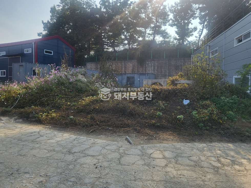경기 고양일산동구 설문동 계획관리 대지165p, 6M도로 설문IC5분, 민원소지없음 매매 매물번호 10712 사진 1