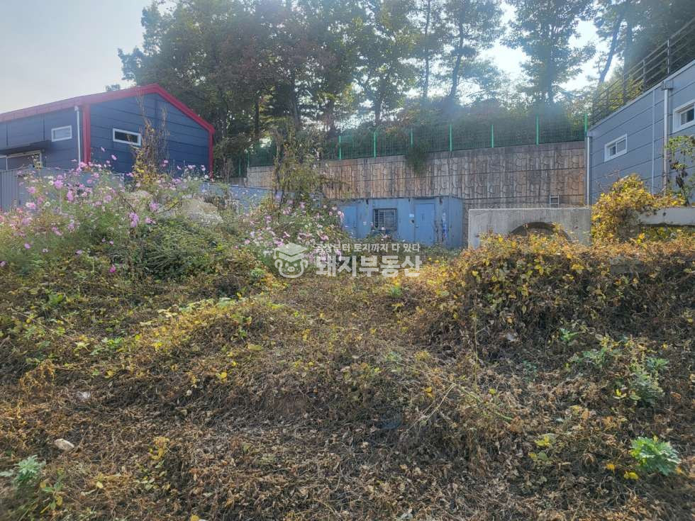 경기 고양일산동구 설문동 계획관리 대지165p, 6M도로 설문IC5분, 민원소지없음 매매 매물번호 10712 사진 2