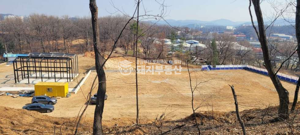 경기 고양일산동구 설문동 보전관리,351p, 6M도로 설문IC5분, 민원소지없음,토목공사조건 매매 매물번호 10720 사진 1