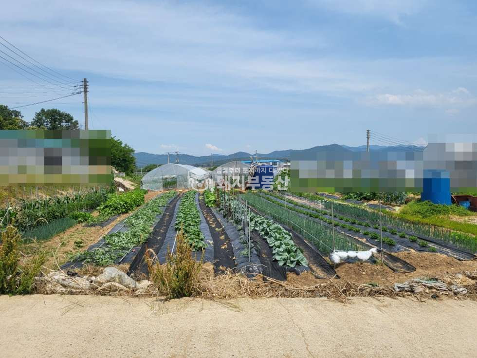 경기 고양일산동구 사리현동 도로접한 농지 554p 전기 수도 하우스2동 사리현ic5분 매매 매물번호 10783 사진 3