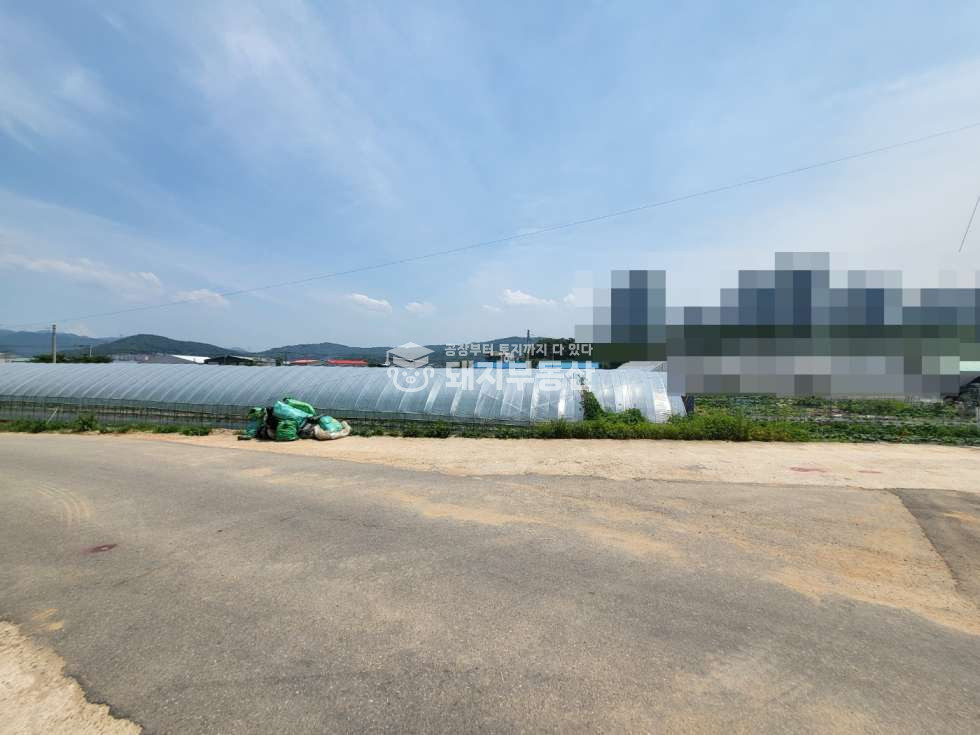 경기 고양일산동구 사리현동 도로접한 농지 554p 전기 수도 하우스2동 사리현ic5분 매매 매물번호 10783 사진 4