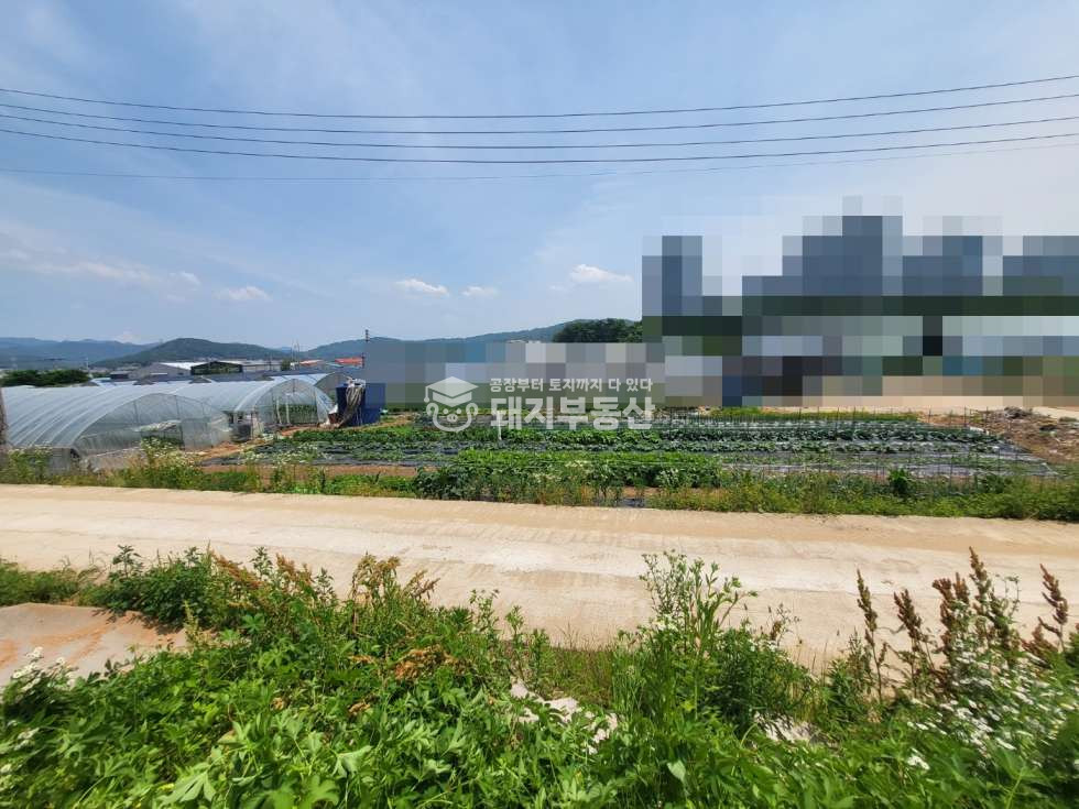 경기 고양일산동구 사리현동 도로접한 농지 554p 전기 수도 하우스2동 사리현ic5분 매매 매물번호 10783 사진 5