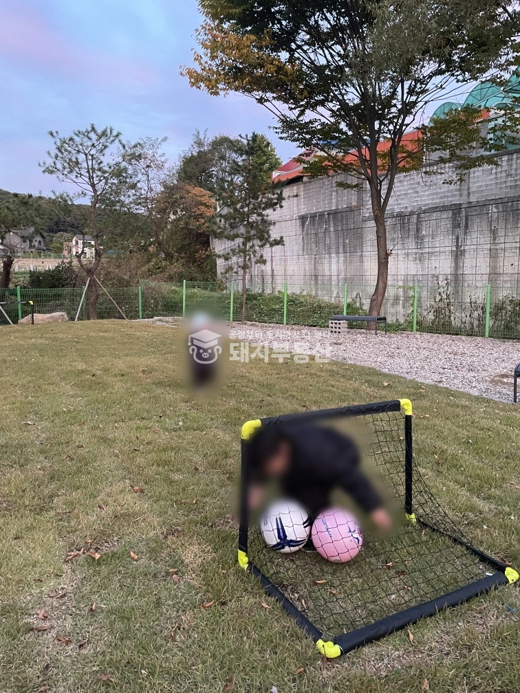 경기 고양덕양구 벽제동 4차선변 예쁜카페 실입주가 매매 매물번호 10552 사진 9