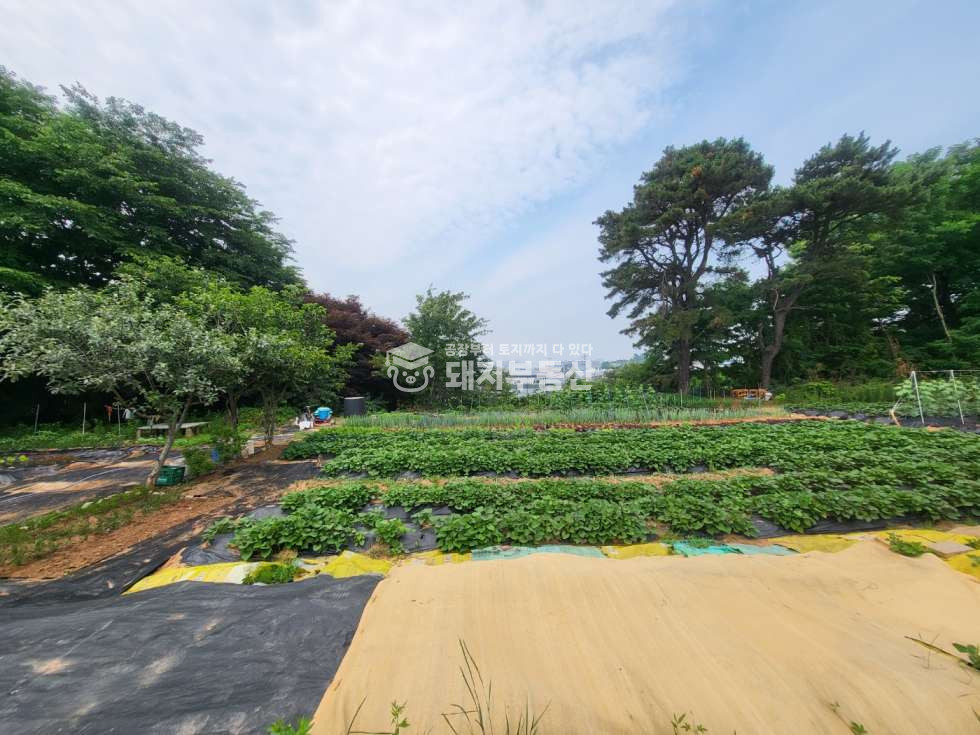 경기 고양일산서구 덕이동 제2자유로 인접한 토지 288p 매매 매물번호 10796 사진 1