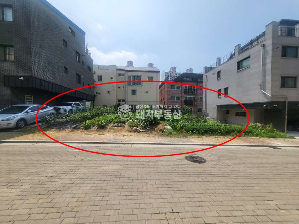 경기 파주시 동패동 초중고교 도보권, 주택부지, GTX도보권 매매 매물번호 10844 사진 1