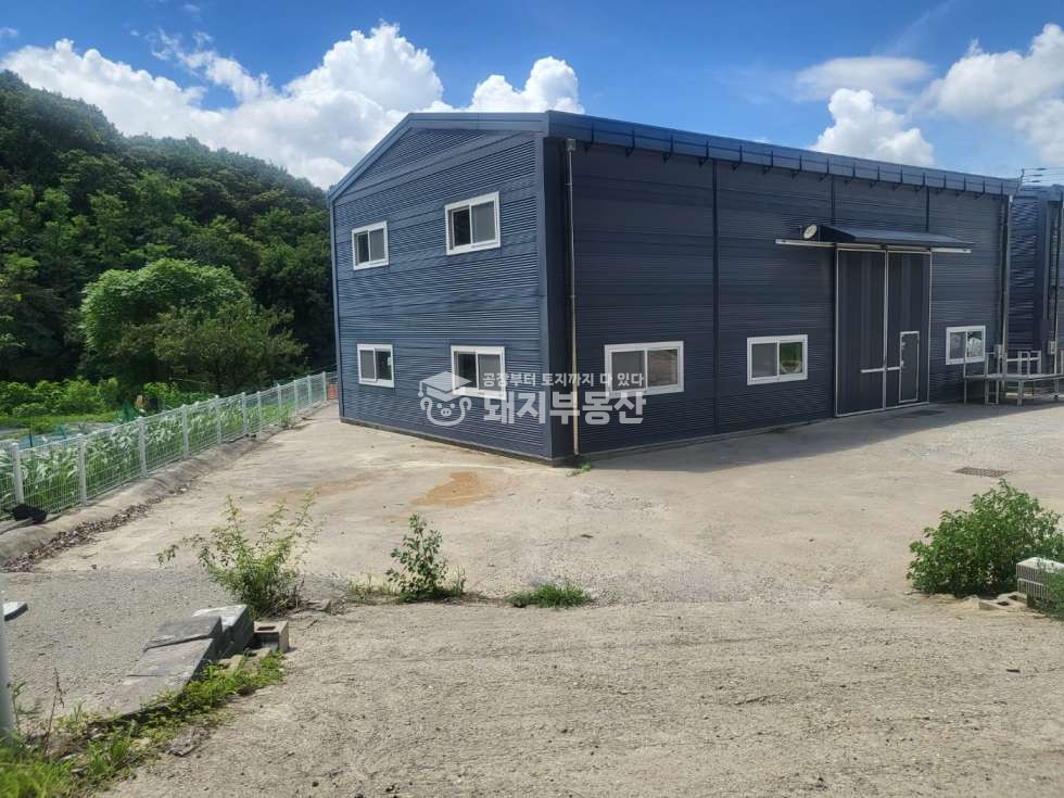 경기 파주시 광탄면 발랑리 2동 2차선변 준신축 51p 제조가 40피트진출입 즉시입주 월세 매물번호 10403 사진 14