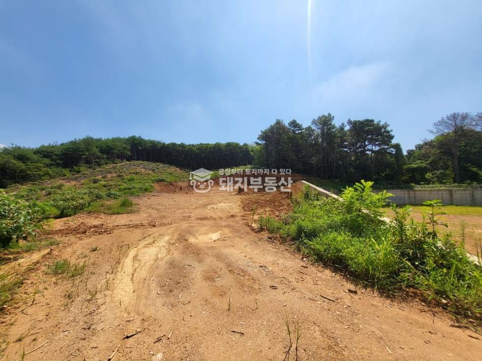 경기 파주시 맥금동 공장창고부지 690p, 건축허가득,토목공사조건,제2자유로진출입편리,하수직관,식품공장가 매매 매물번호 10885 사진 2