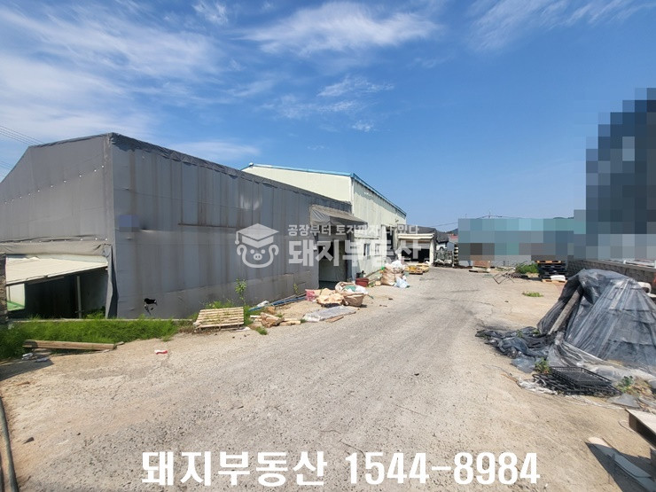 경기 김포시 하성면 원산리 급매, 113p통건물,민원무,40피트,알땅,2차선인접,실입주가 매매 매물번호 10104 사진 4