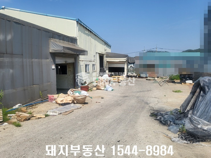 경기 김포시 하성면 원산리 급매, 113p통건물,민원무,40피트,알땅,2차선인접,실입주가 매매 매물번호 10104 사진 11