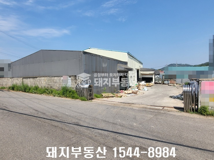 경기 김포시 하성면 원산리 급매, 113p통건물,민원무,40피트,알땅,2차선인접,실입주가 매매 매물번호 10104 사진 13