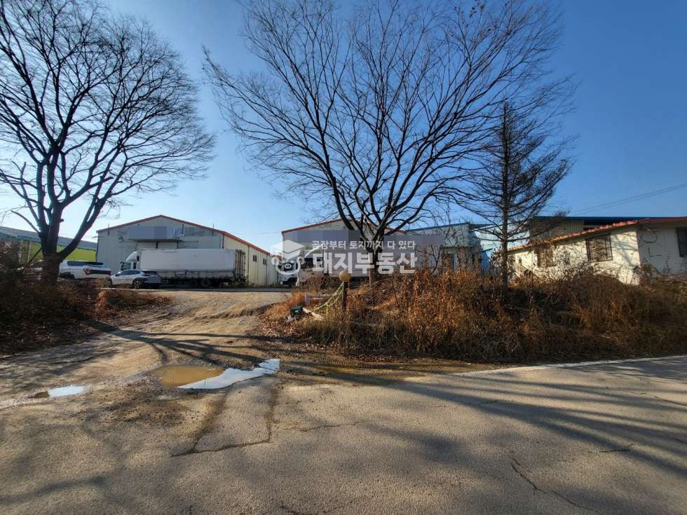 경기 파주시 문산읍 당동리 가,나,다,라동 자유로당동ic1분, 민원무,건405p,고전력,40피트진출입가,층고높음 매매 매물번호 11048 사진 3