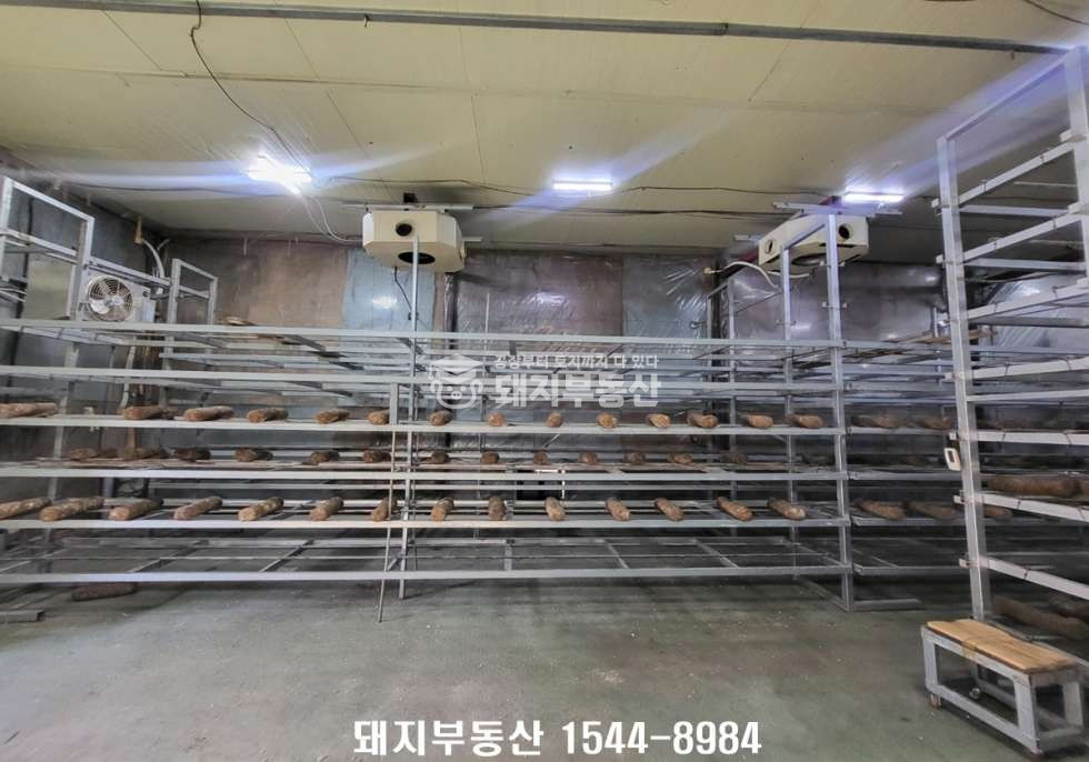 경기 고양일산서구 구산동 가,나,다동 매가저렴,동.식물관련시설,40피트,ic2분,고전력,즉시입주 매매 매물번호 11151 사진 6