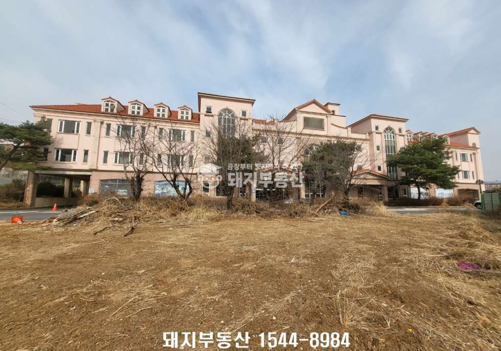 경기 고양일산동구 성석동 2차선인접,4층통건물,분할임대가,건1223p,설문ic10분,렌트프리유 월세 매물번호 11169 사진 12