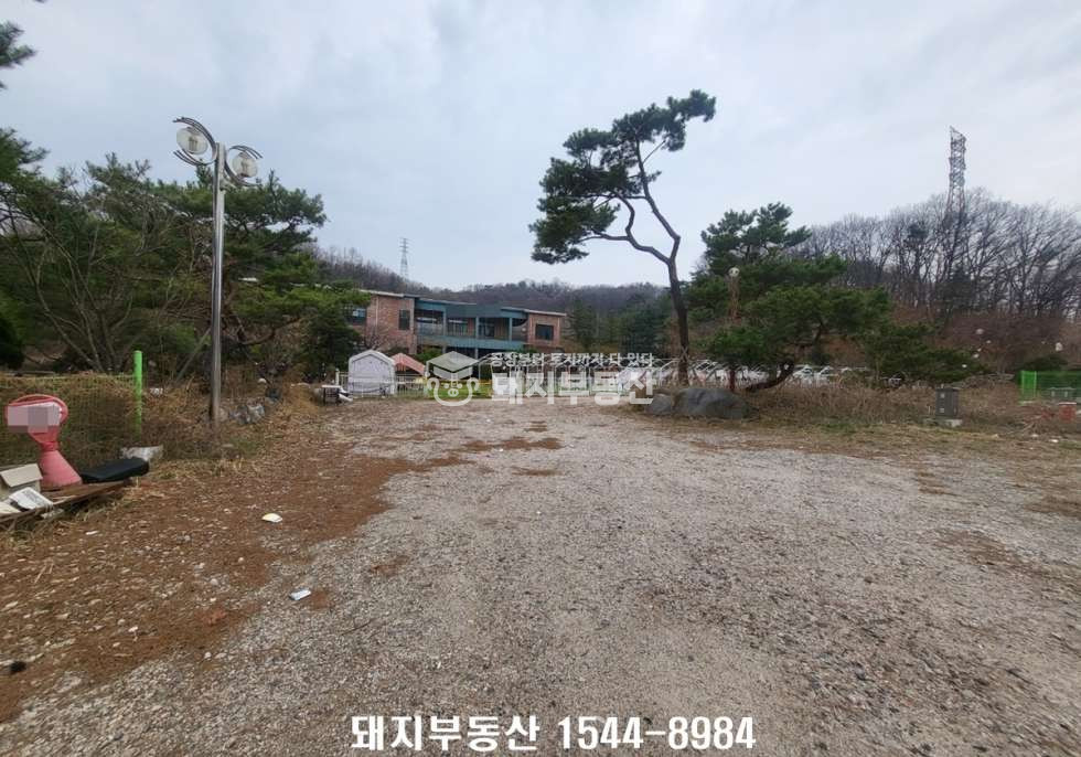 경기 고양덕양구 벽제동 벽제근린생활시설동 4차선변 위치굿,대형단독마당,가든형식당,웨딩홀,노유자시설등 자유업종 월세 매물번호 11190 사진 4
