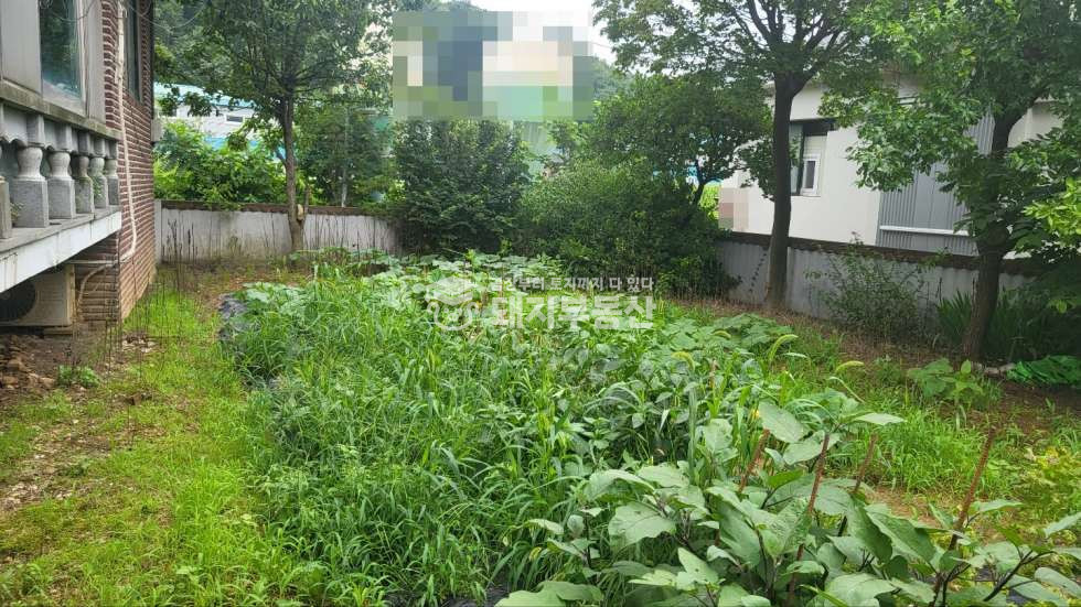 경기 고양일산동구 성석동 도로인접 근생창고와 단독주택 매매 매매 매물번호 10069 사진 7