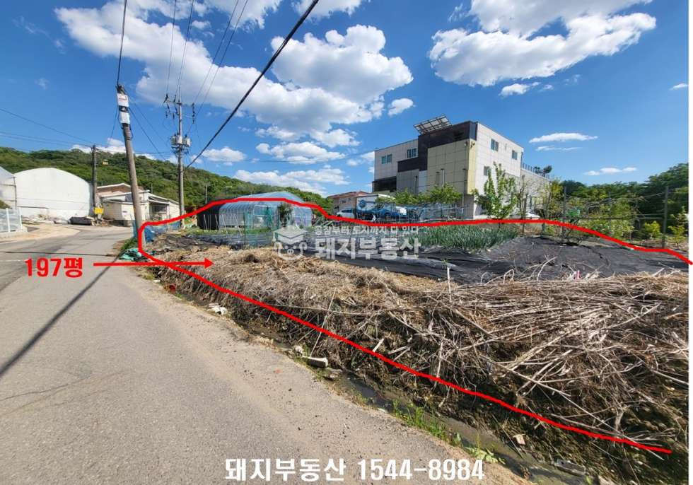 경기 고양덕양구 오금동 삼송역,통일로ic인접, 창고와 주택,추가토지197평,알땅 매매 매물번호 11248 사진 28