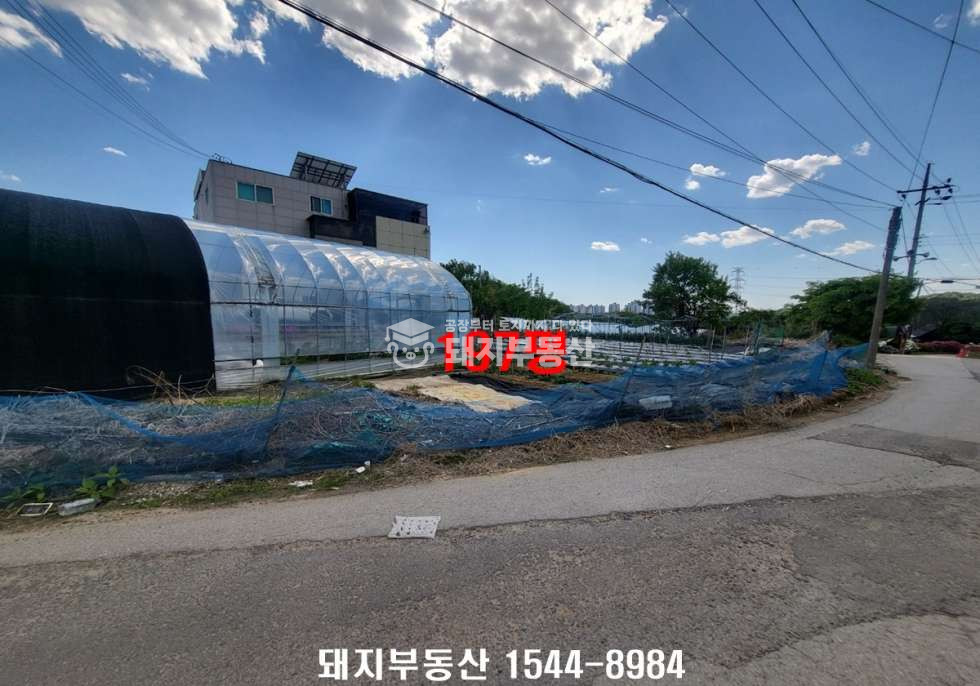 경기 고양덕양구 오금동 삼송역,통일로ic인접, 창고와 주택,추가토지197평,알땅 매매 매물번호 11248 사진 29