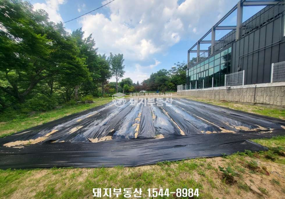 경기 고양덕양구 효자동 4차선접,광고효과굿,넓은마당과 텃밭,계곡이 있는 경치좋은곳 매매 매물번호 11289 사진 10