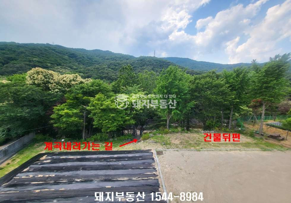 경기 고양덕양구 효자동 4차선접,광고효과굿,넓은마당과 텃밭,계곡이 있는 경치좋은곳 매매 매물번호 11289 사진 13