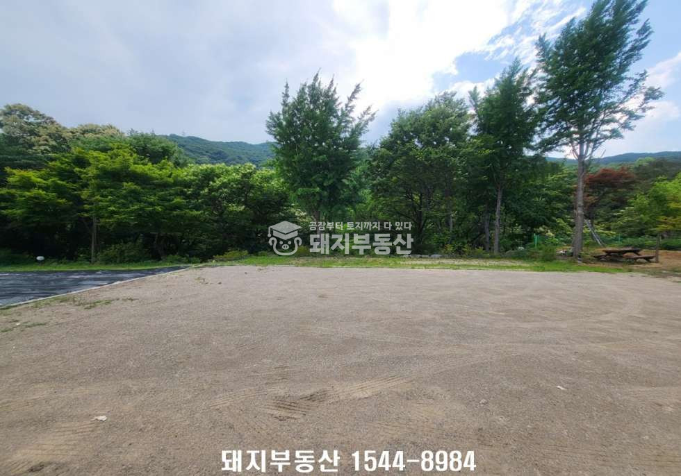 경기 고양덕양구 효자동 4차선접,광고효과굿,넓은마당과 텃밭,계곡이 있는 경치좋은곳 매매 매물번호 11289 사진 15
