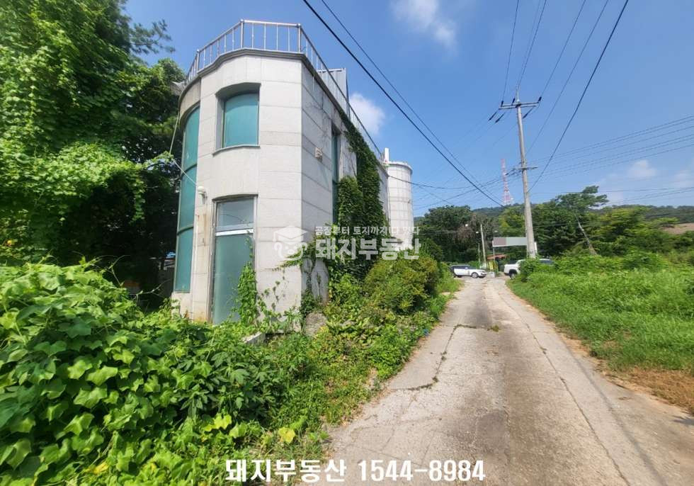 경기 고양일산동구 성석동 2차선인접, 단독건물,건41p,하수직관,자유업,설문ic10분 월세 매물번호 11124 사진 2