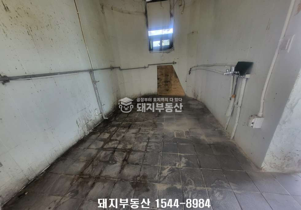 경기 고양일산동구 성석동 2차선인접, 단독건물,건41p,하수직관,자유업,설문ic10분 월세 매물번호 11124 사진 10
