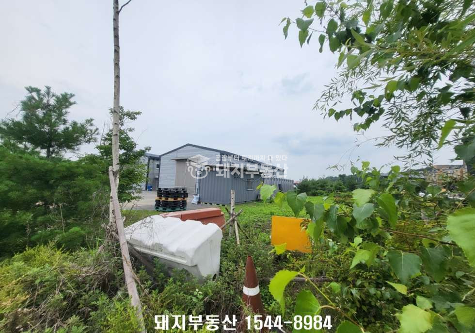 경기 고양덕양구 내유동 1,2,3동 준신축 건263p,하수직관, 40피트진출입가,물류창고,식품공장가,높은층고,통일로인접 매매 매물번호 11323 사진 13