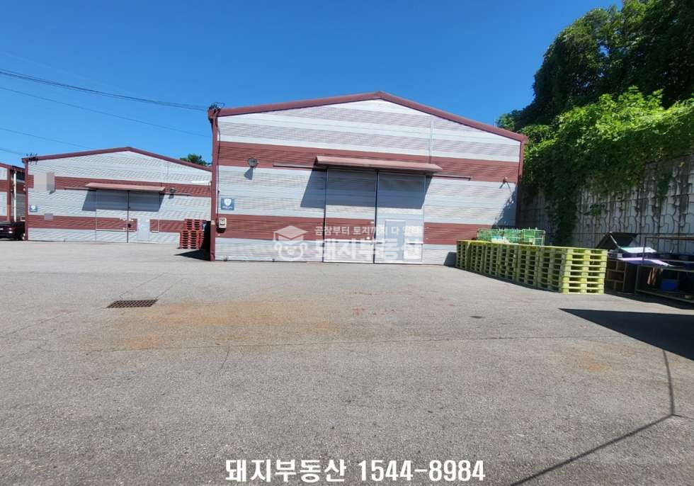 경기 고양일산동구 지영동 가,나동 단독마당,건198p,민원무,사리현ic15분,통일로10분 월세 매물번호 11345 사진 1