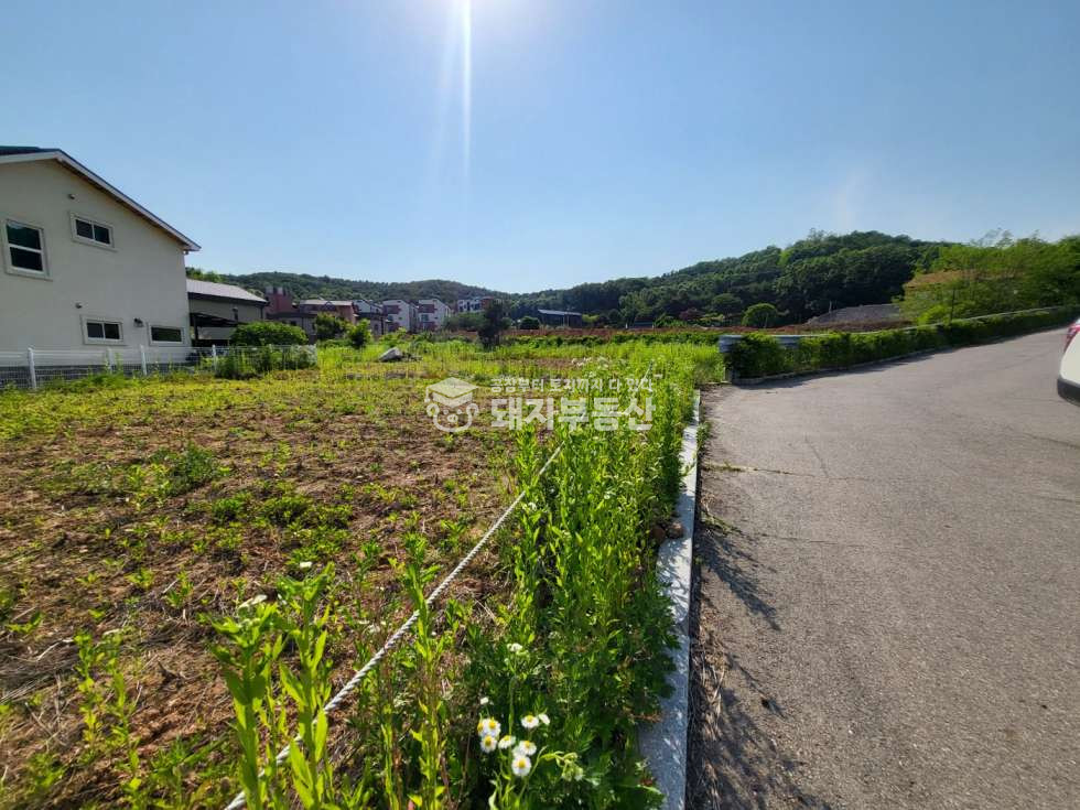 경기 고양일산동구 성석동 조용한 전원주택부지, 총1,722평, 분할매매가능,북고양설문ic7분 매매 매물번호 10079 사진 4