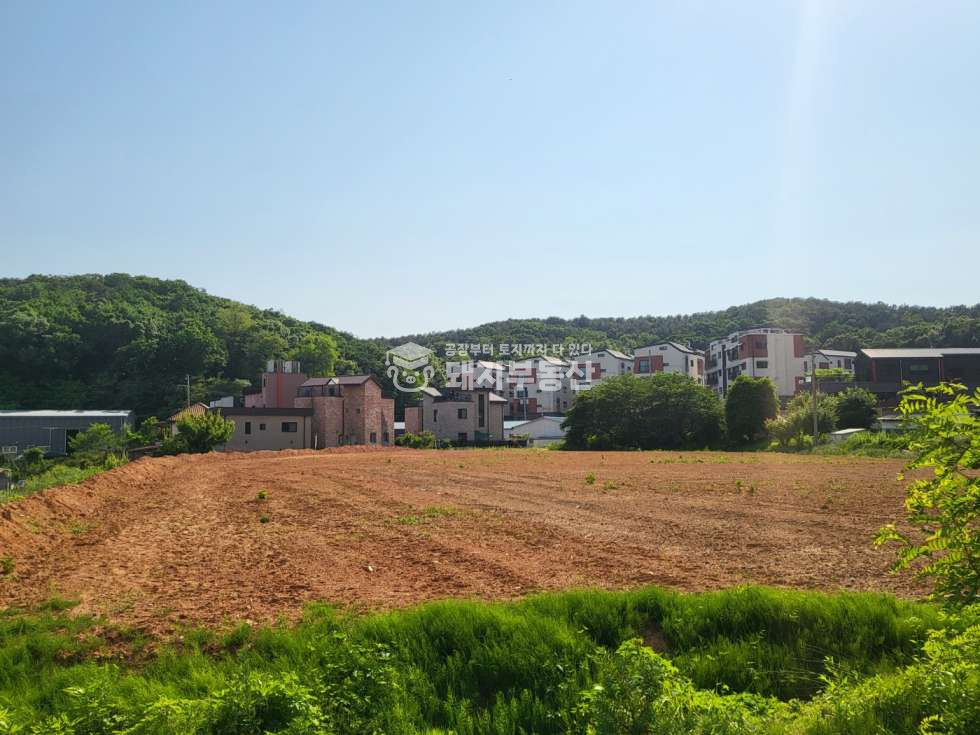 경기 고양일산동구 성석동 조용한 전원주택부지, 총1,722평, 분할매매가능,북고양설문ic7분 매매 매물번호 10079 사진 5