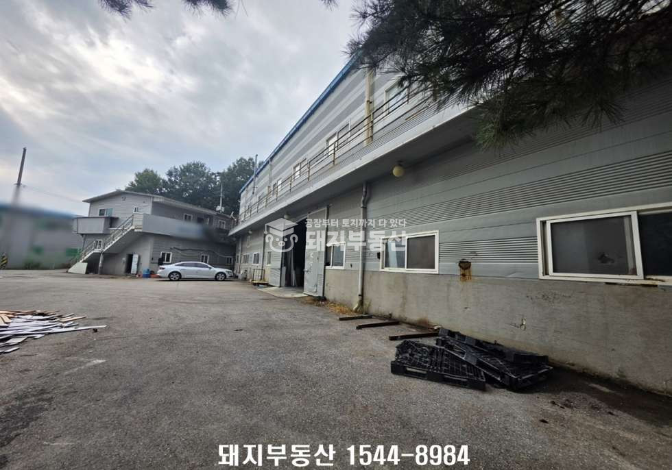 경기 고양일산동구 지영동 가,나동 민원무, 제조가능,건384p,사리현ic12분,통일로5분,실입주가 매매 매물번호 11385 사진 15