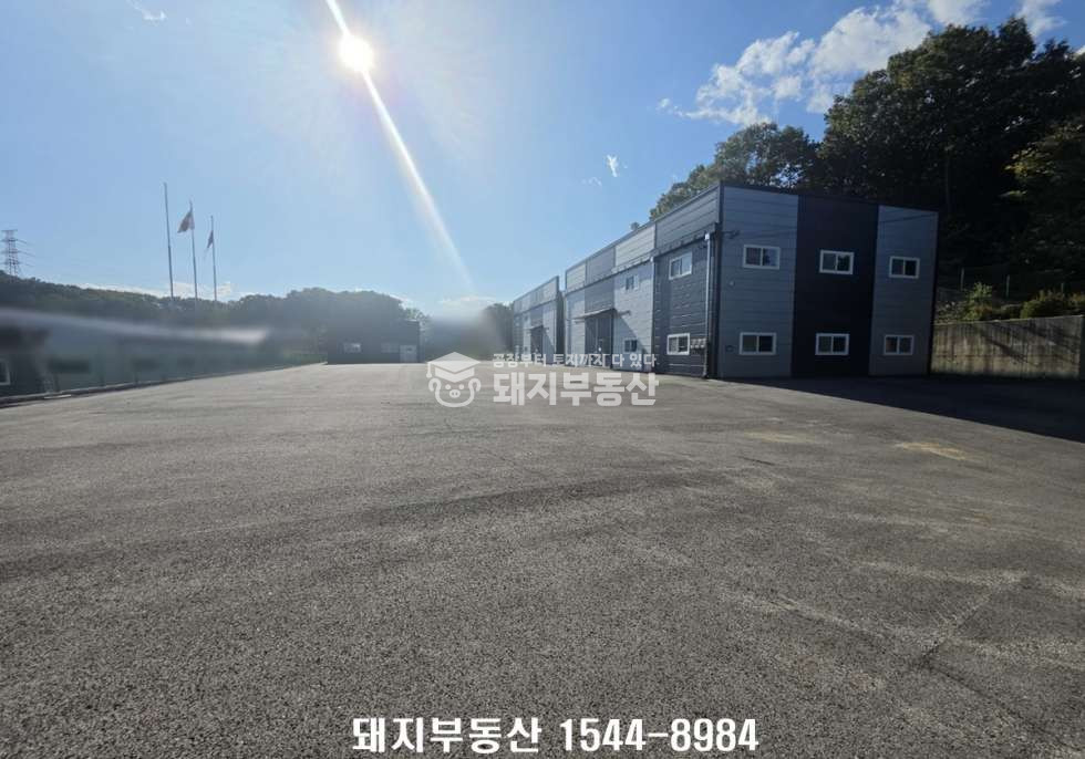 경기 고양일산동구 지영동 1,2동 대형단독마당,민원무,건156p,하수직관,사리현ic인접,즉시입주 월세 매물번호 11389 사진 2