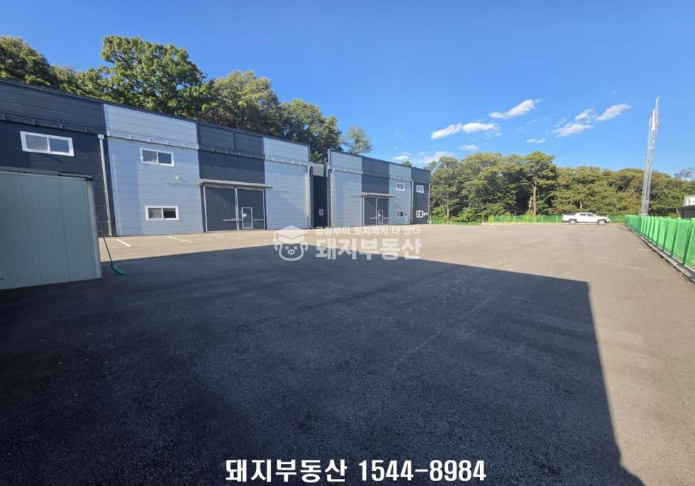 경기 고양일산동구 지영동 1,2동 대형단독마당,민원무,건156p,하수직관,사리현ic인접,즉시입주 월세 매물번호 11389 사진 6