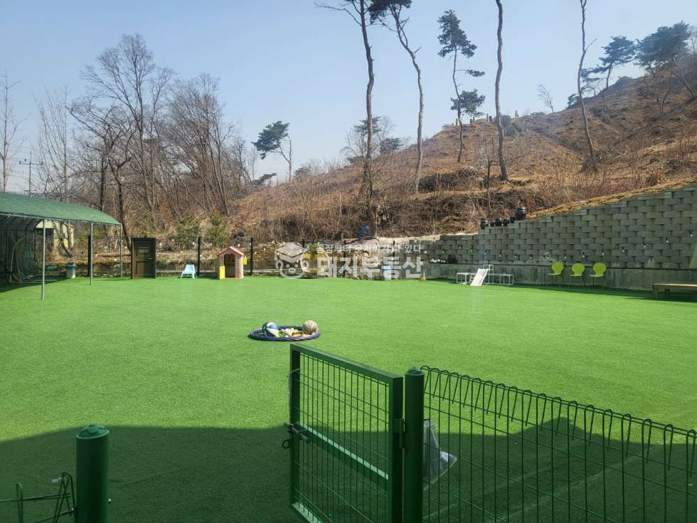 경기 고양덕양구 관산동 도로변 현재 성업중인 애견카페 애견동반식당 인수하실분 월세 매물번호 10056 사진 15
