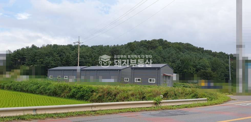 경기 파주시 조리읍 장곡리 단독마당,2차선접 ,광고효과굿 서울문산간도로/토당관산간도로 인접, 실입주가 월세 매물번호 10238 사진 7