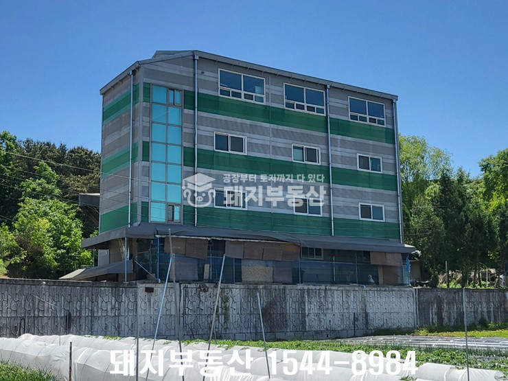 경기 파주시 파주읍 백석리 고전력,민원무, 총596p,파주역5분,월롱ic12분,실입주가,화물EV,리프트 매매 매물번호 10263 사진 3