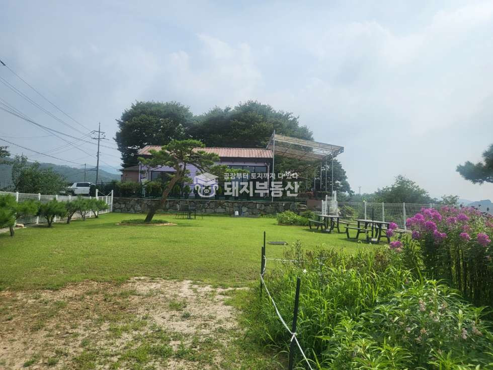 경기 파주시 적성면 어유지리 임진강변뷰 테라스,잔디마당있는 무인카페 시설포함 매매 매매 매물번호 10010 사진 18