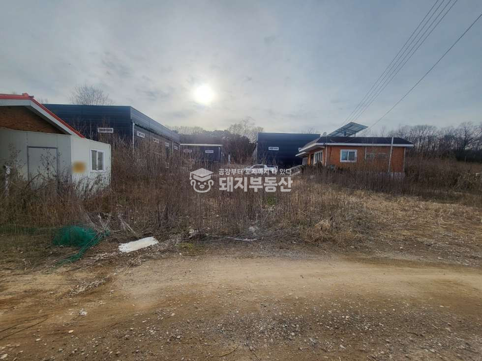 경기 파주시 광탄면 창만리 공장급매 신축 207p, 민원소지없음 높은층고 실입주가 매매 매물번호 10253 사진 3
